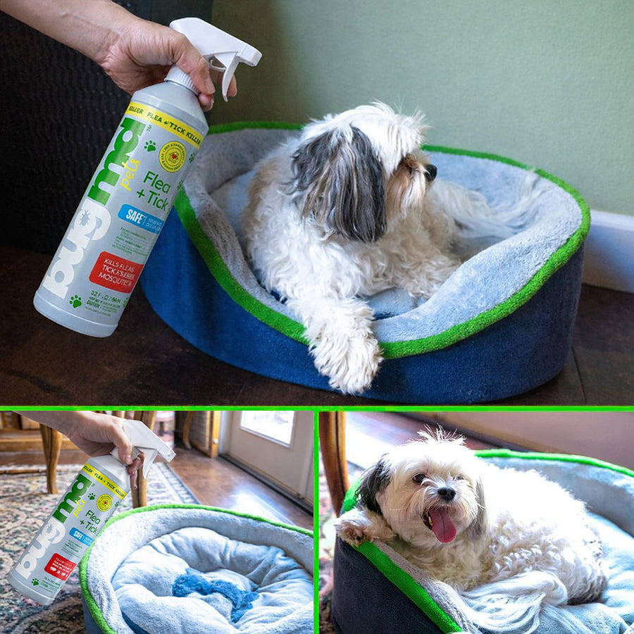 Essential Flea + Tick Concentrate Spray Bottle (Empty)
