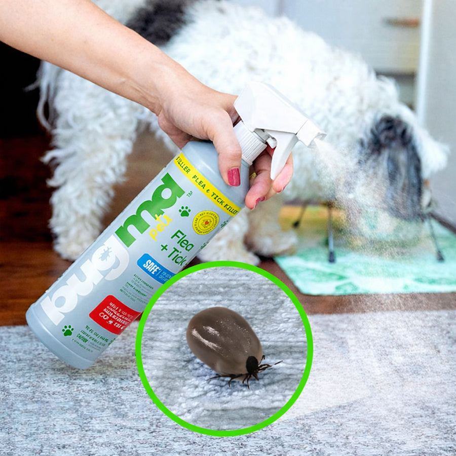 Essential Flea + Tick Concentrate Spray Bottle (Empty)