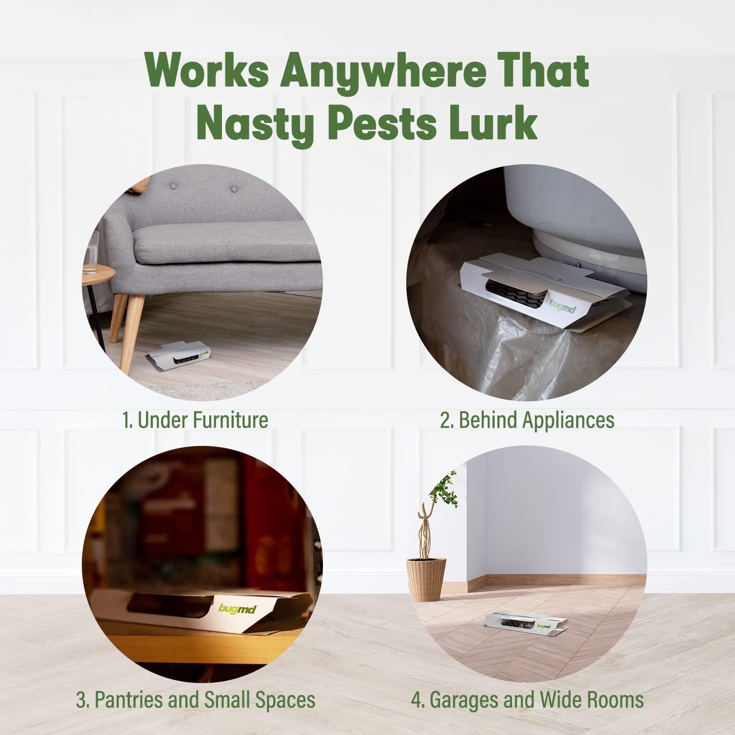 Cockroach Catcher