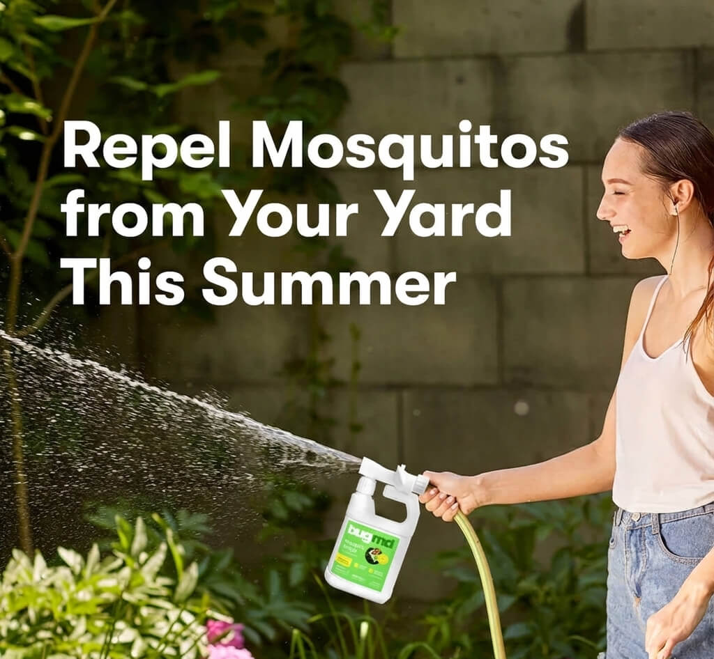 Mosquito Amigo
