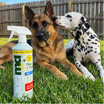 BugMD Flea + Tick Control