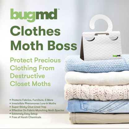 Clothes Moth Boss 1