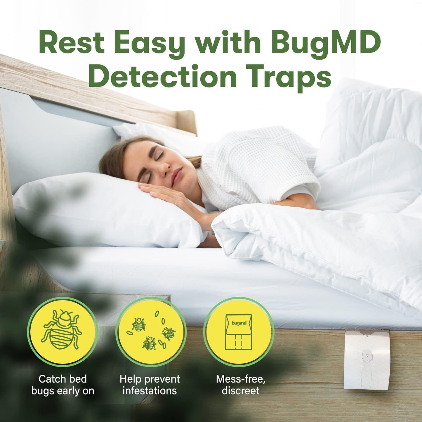 The Bed Bug Traps