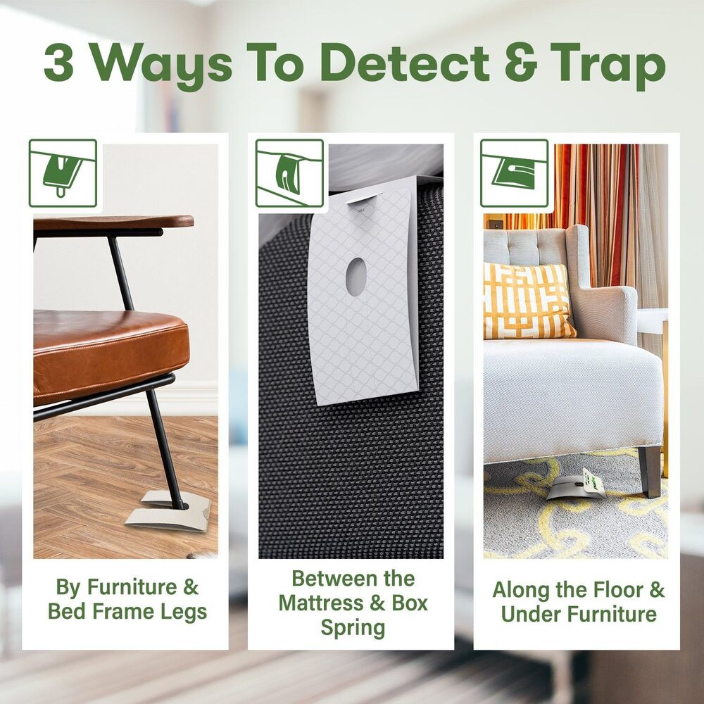 The Bed Bug Traps